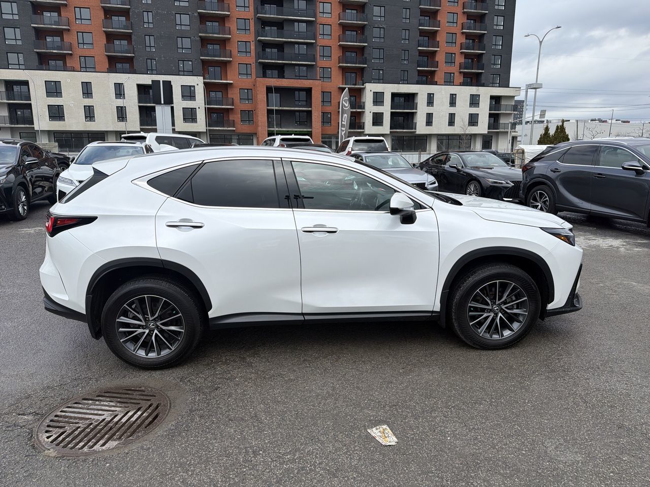 2024 Lexus NX in Laval, Quebec