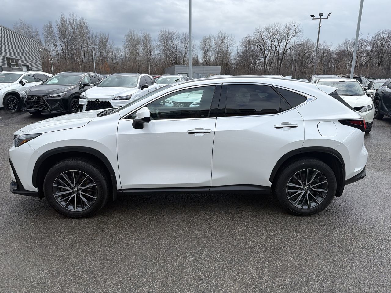2024 Lexus NX in Laval, Quebec