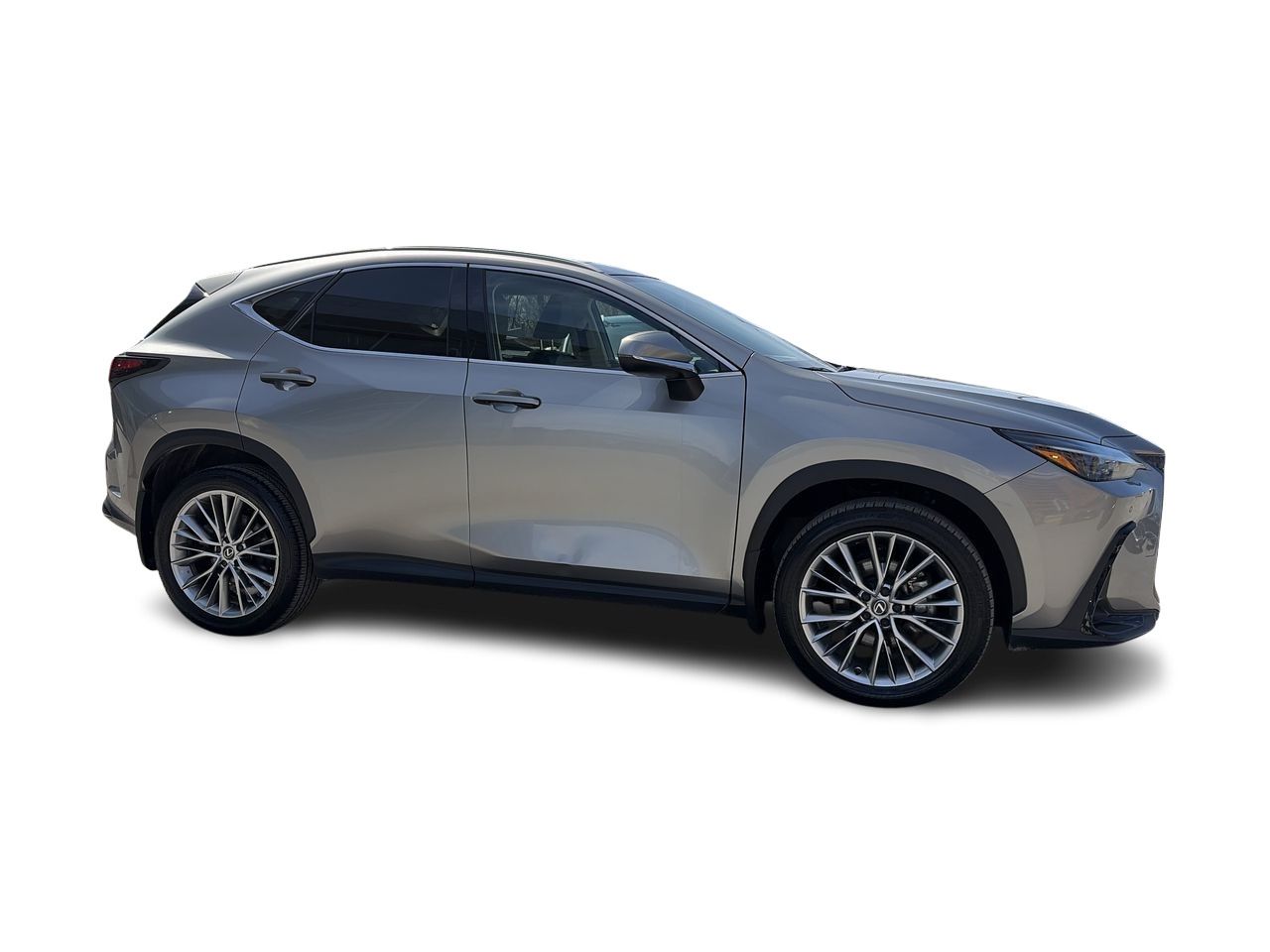 2024 Lexus NX