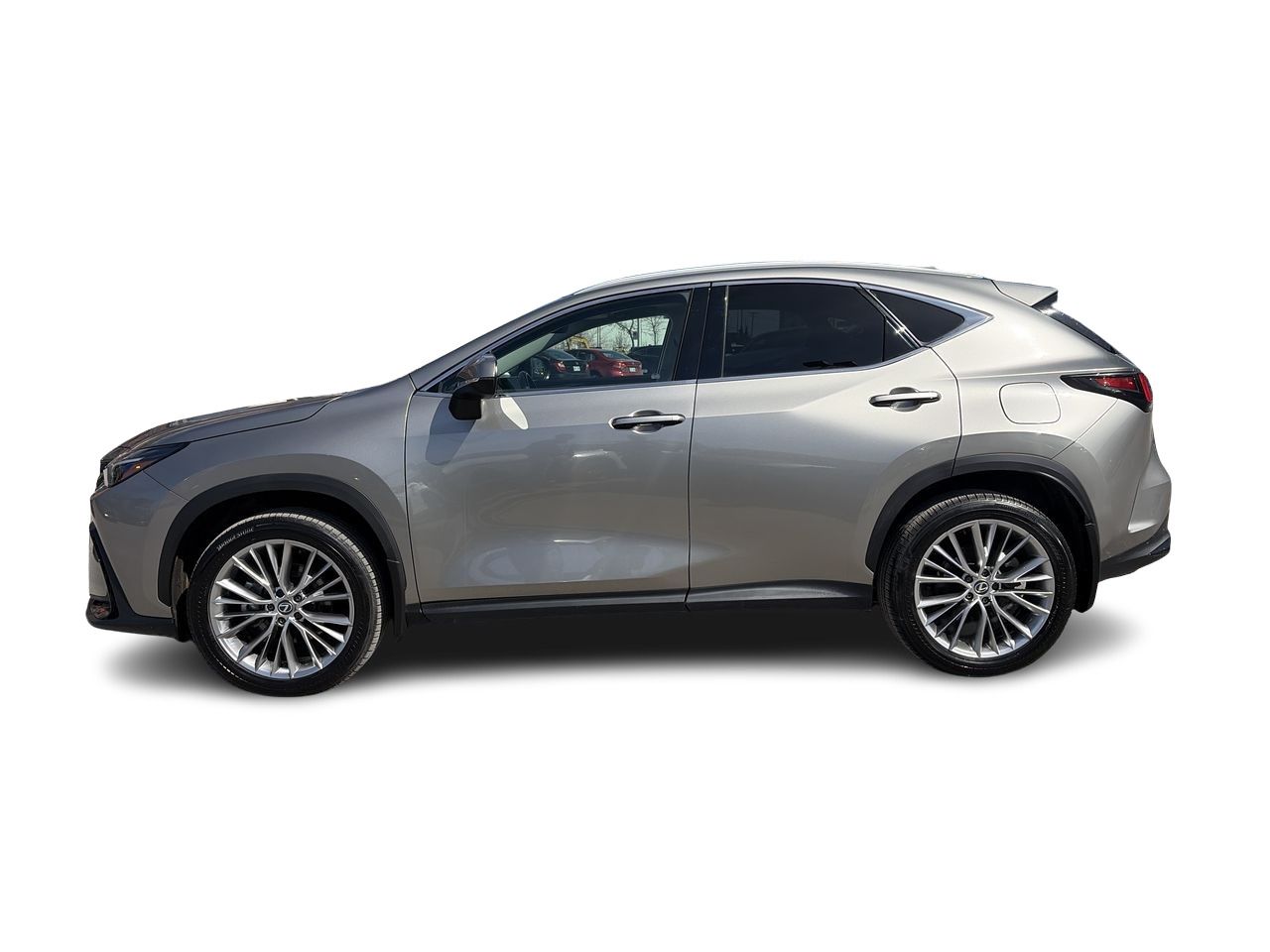 2024 Lexus NX