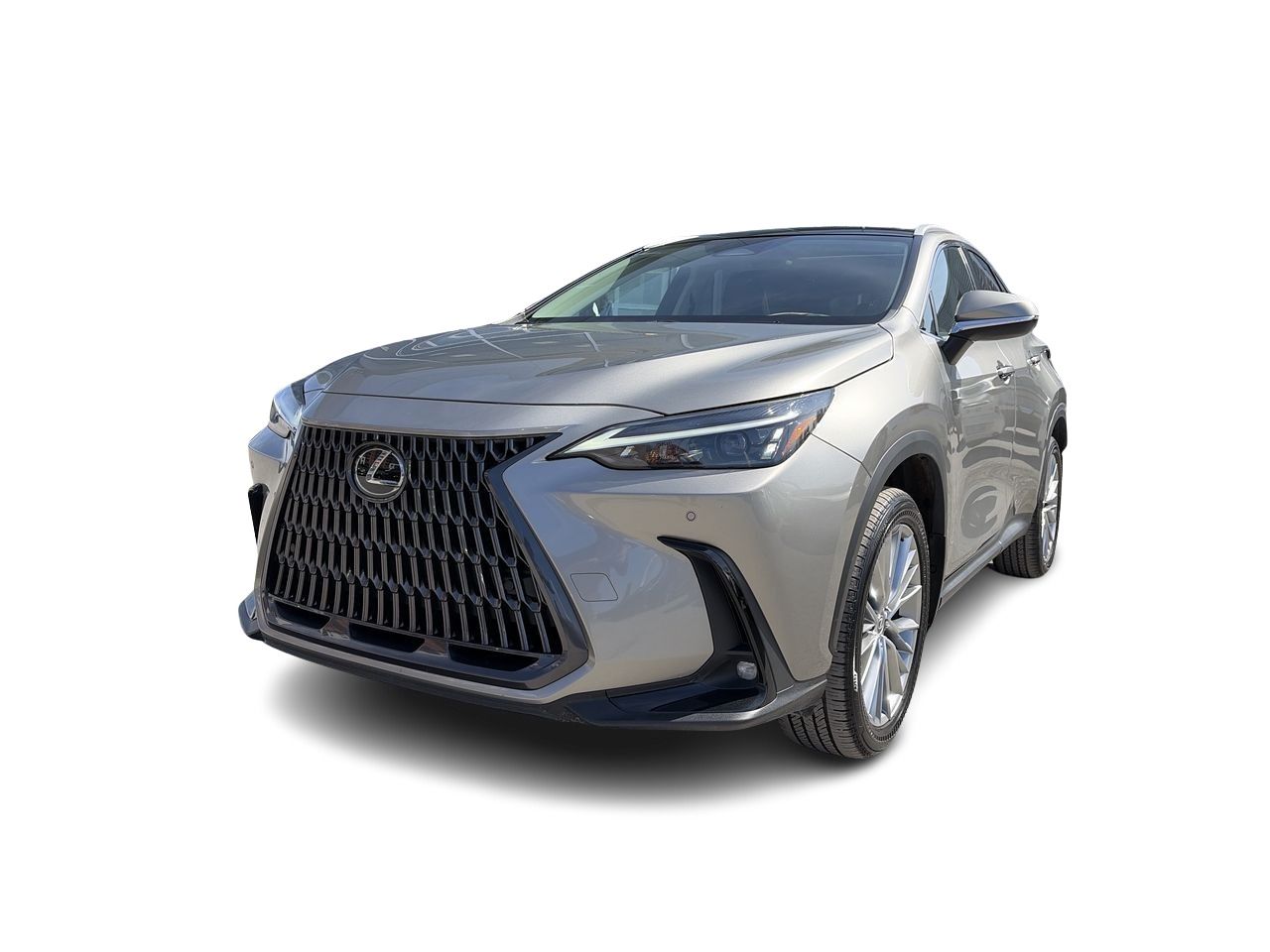 2024 Lexus NX