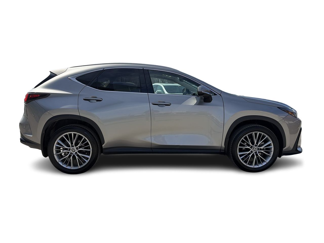 2024 Lexus NX