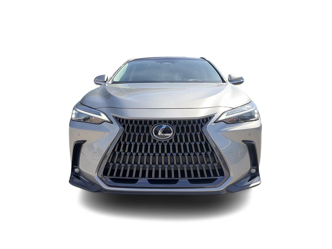 2024 Lexus NX