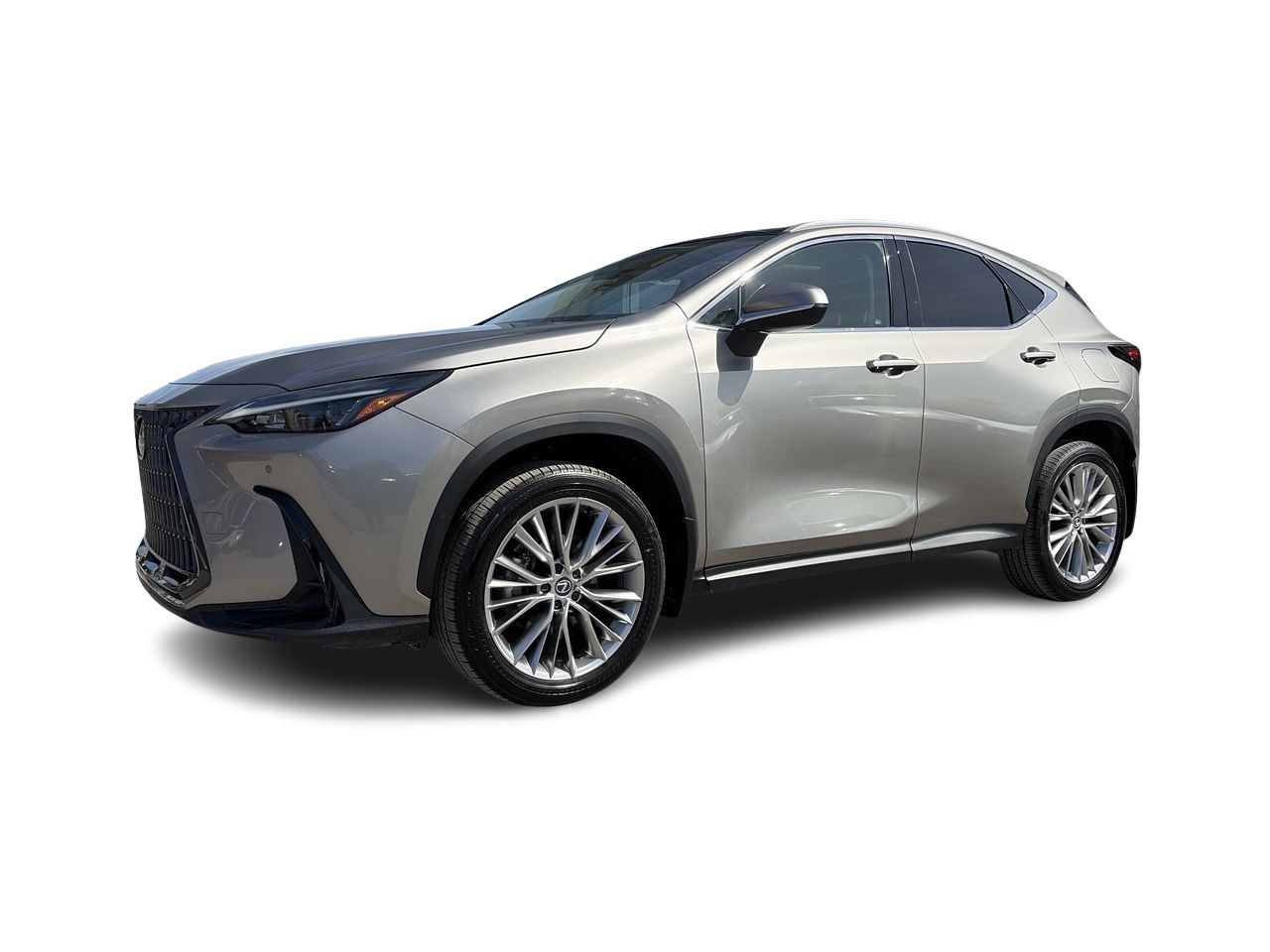 2024 Lexus NX