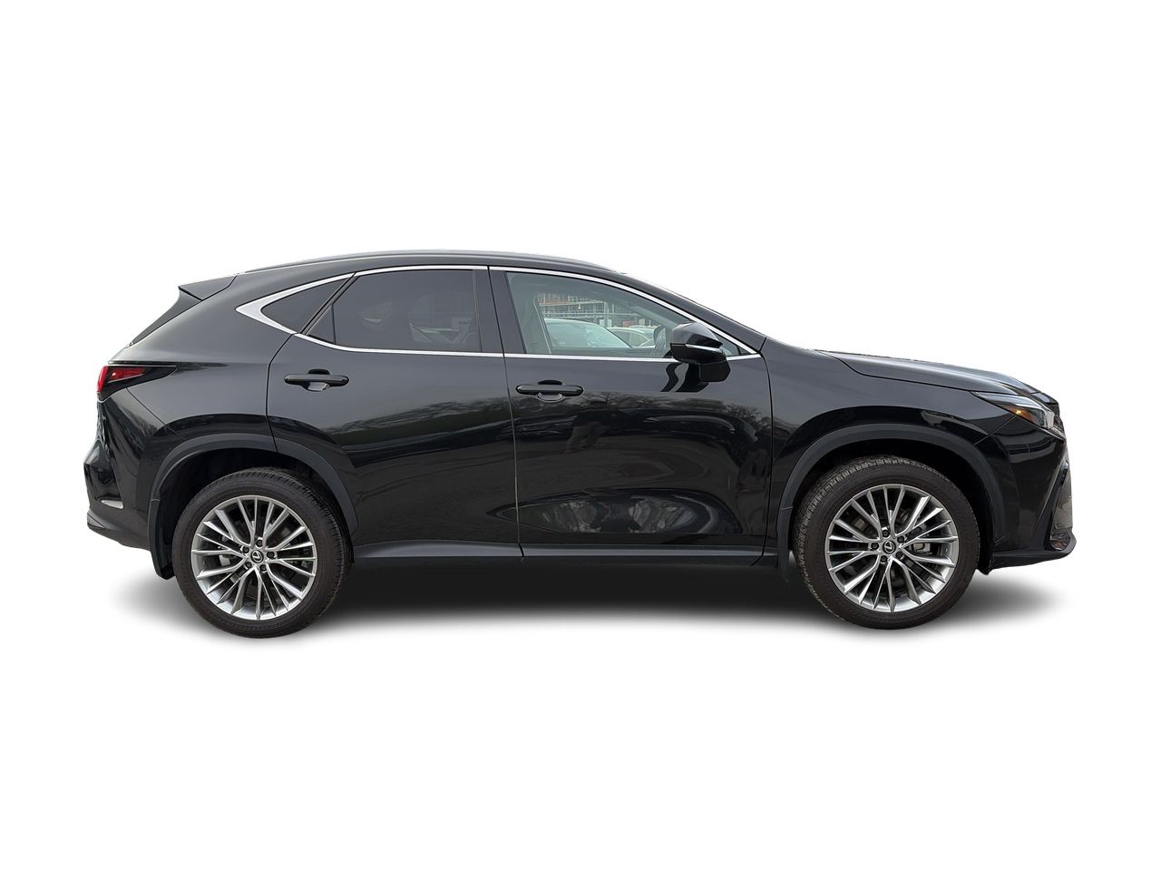 2024 Lexus NX