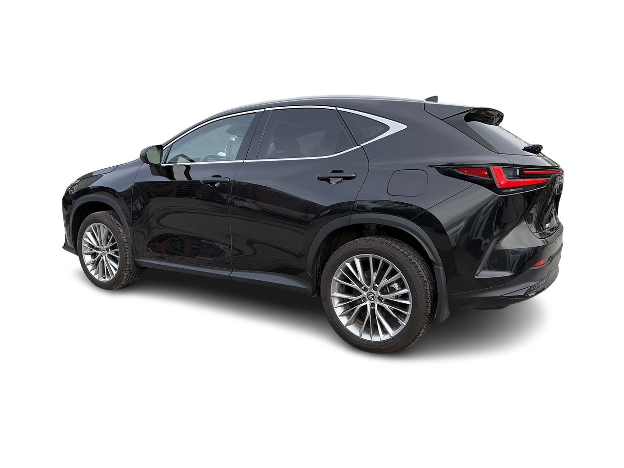 2024 Lexus NX