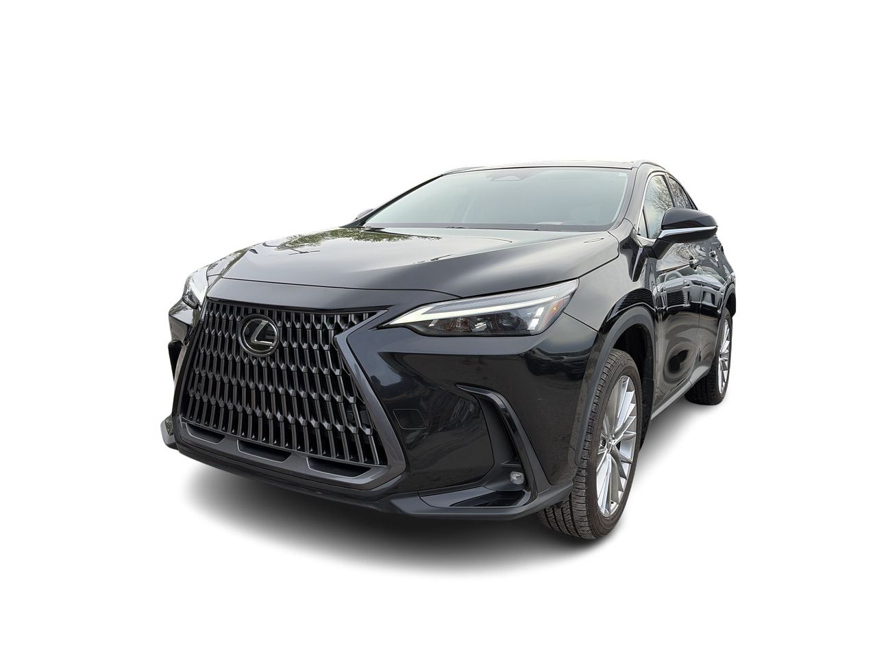 2024 Lexus NX