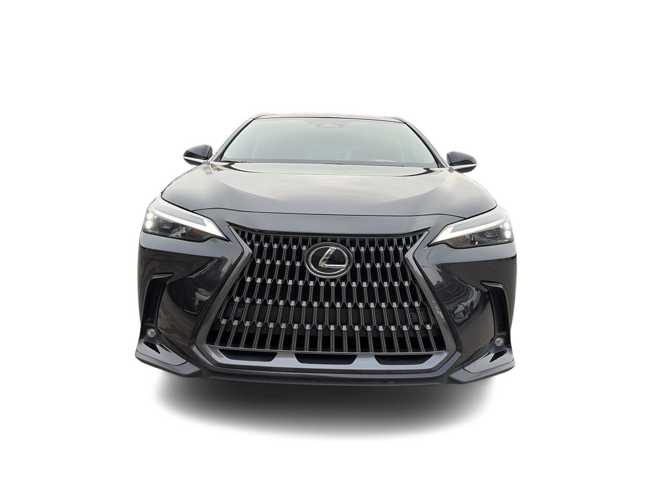 2024 Lexus NX