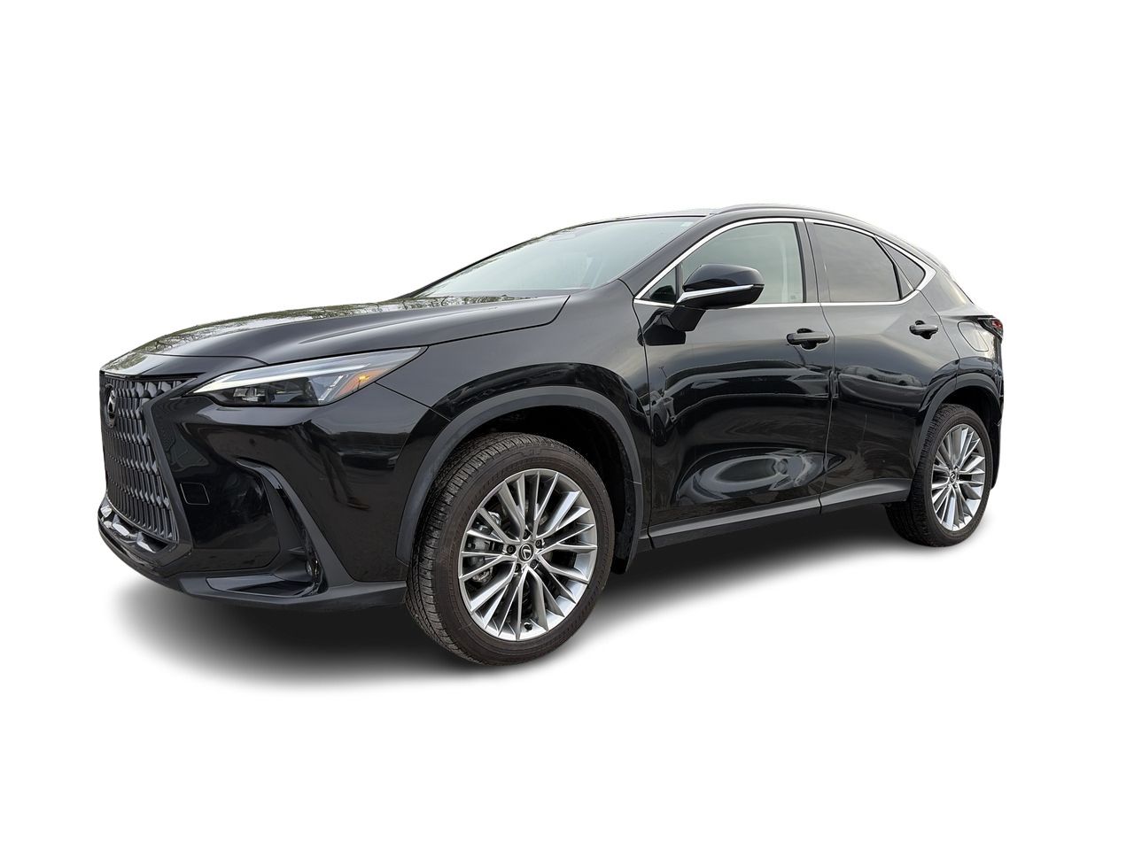 2024 Lexus NX