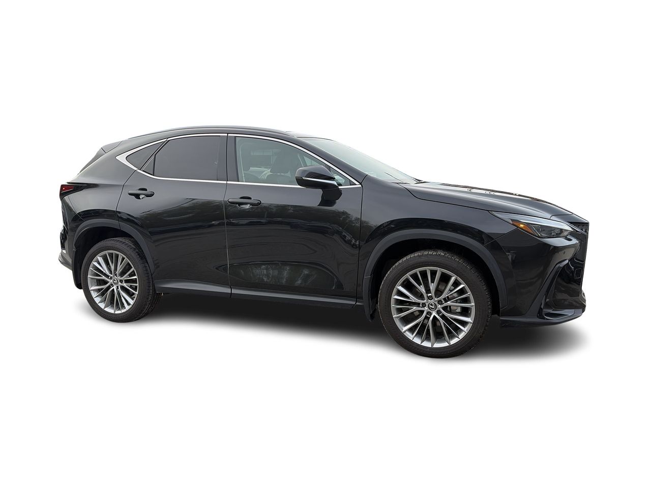 2024 Lexus NX