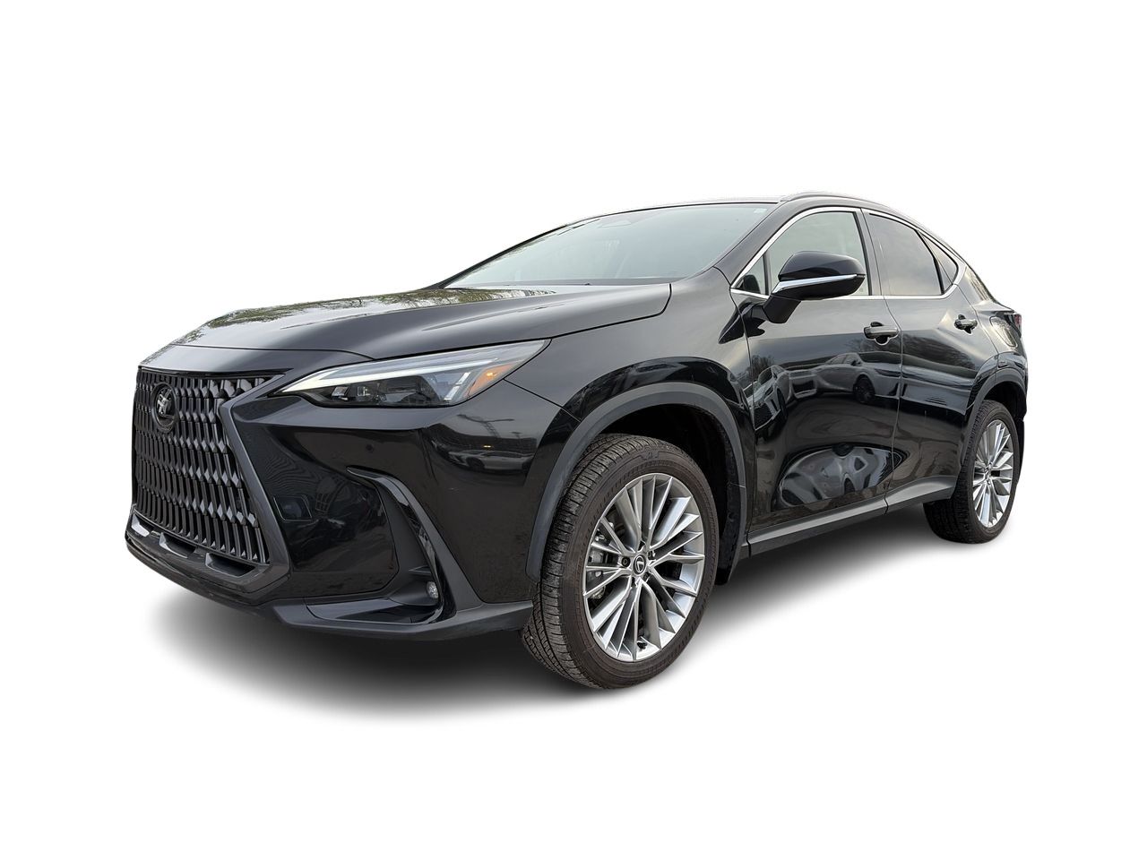 2024 Lexus NX