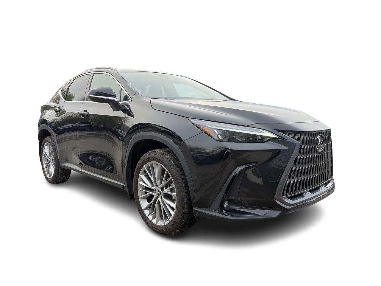 2024 Lexus NX
