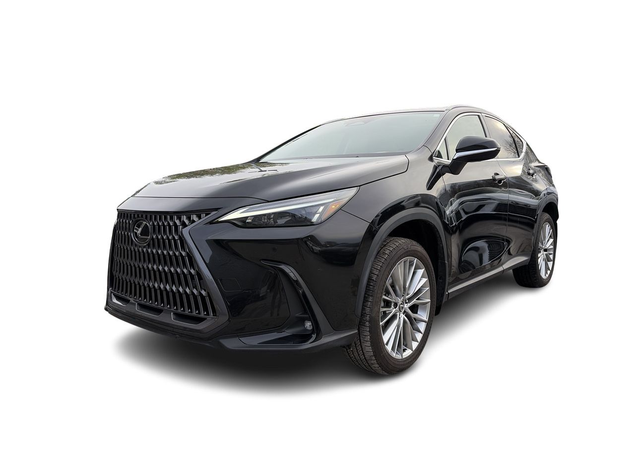2024 Lexus NX