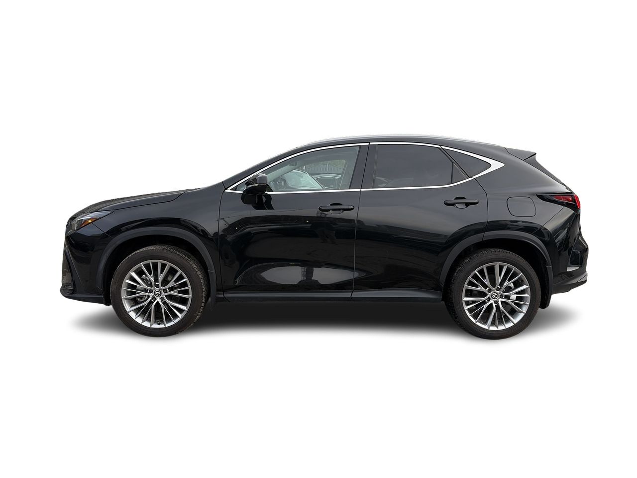 2024 Lexus NX