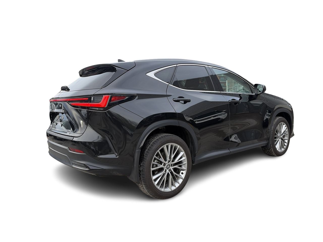 2024 Lexus NX