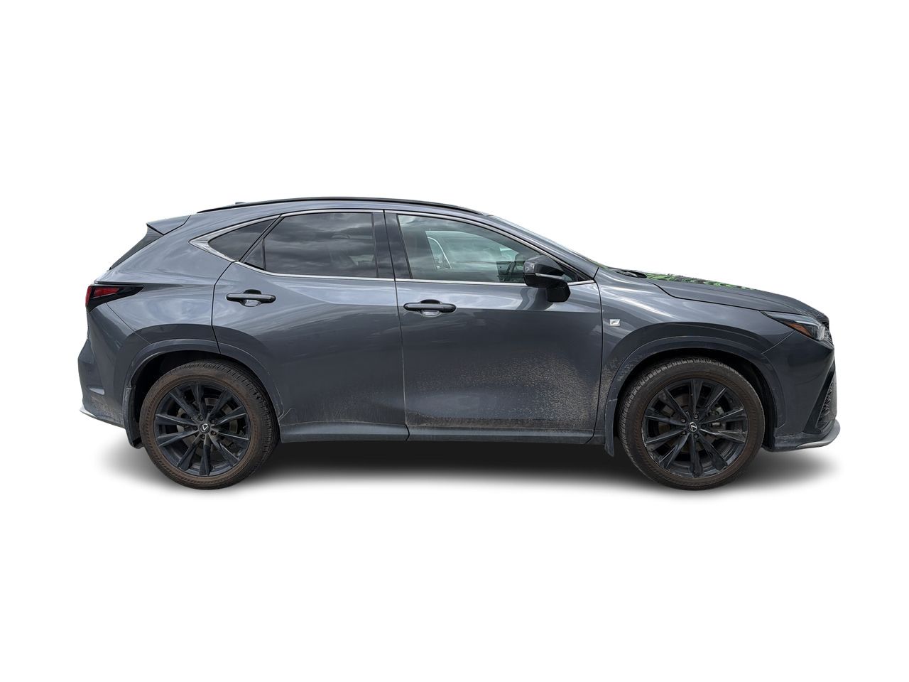 2024 Lexus NX