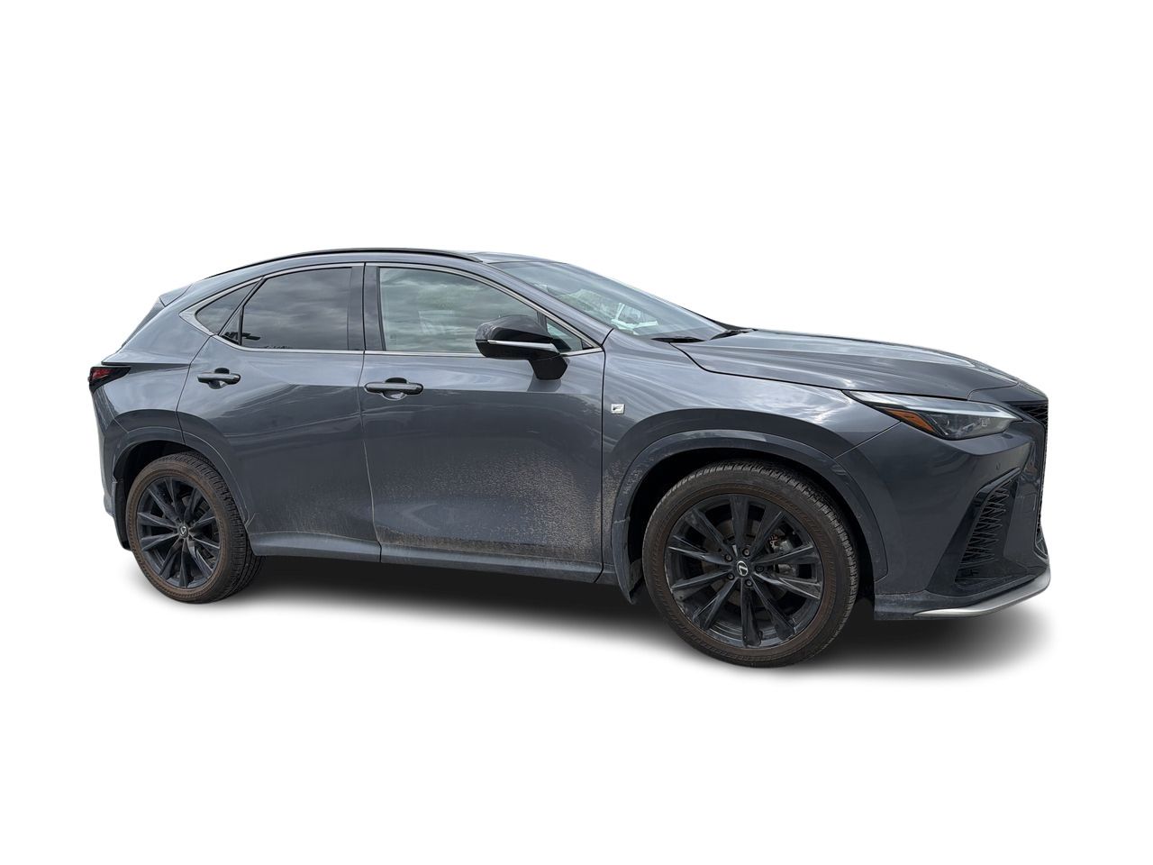 2024 Lexus NX