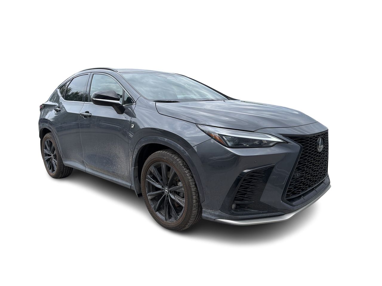 2024 Lexus NX