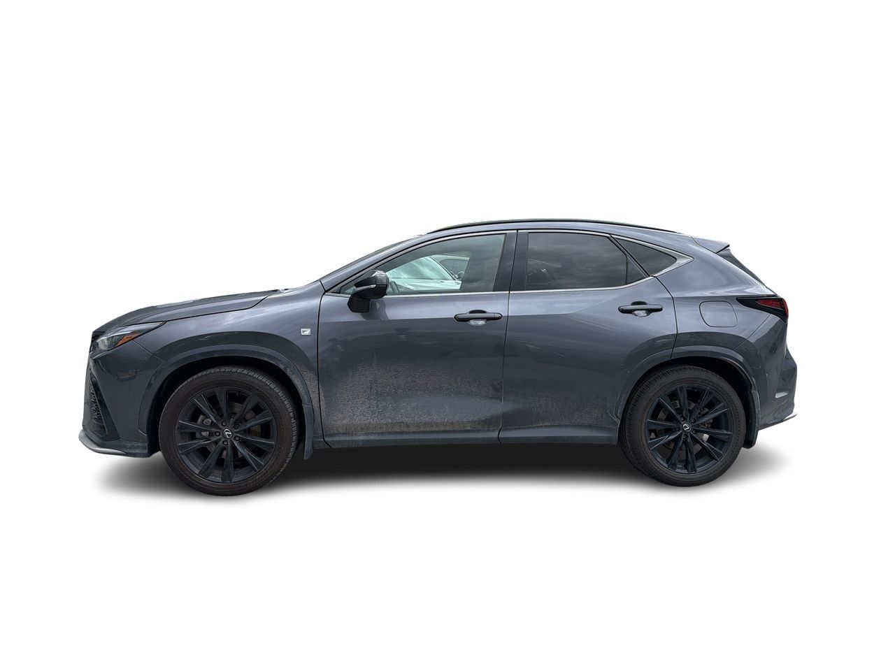 2024 Lexus NX