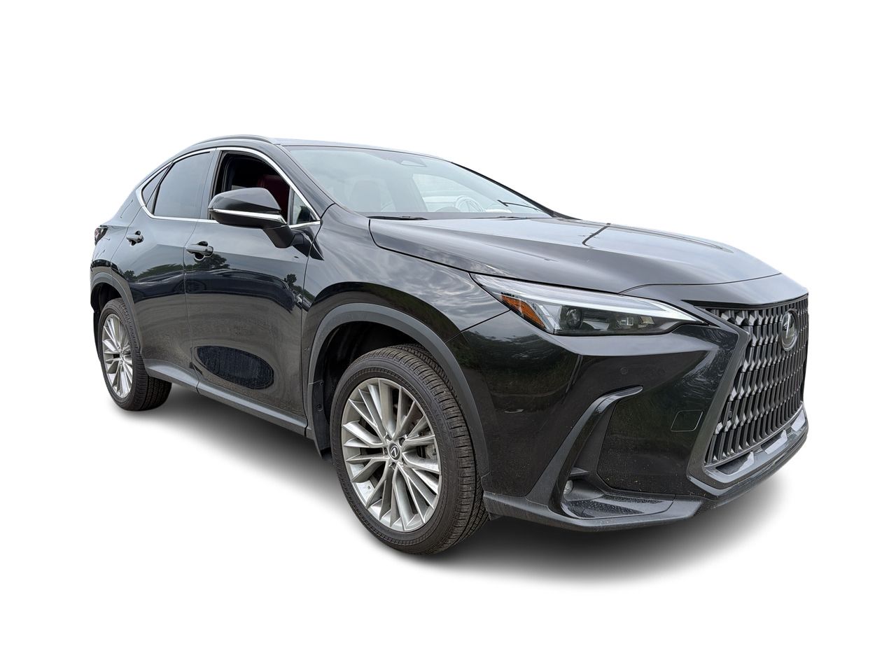 2024 Lexus NX