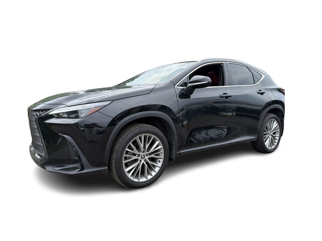 2024 Lexus NX