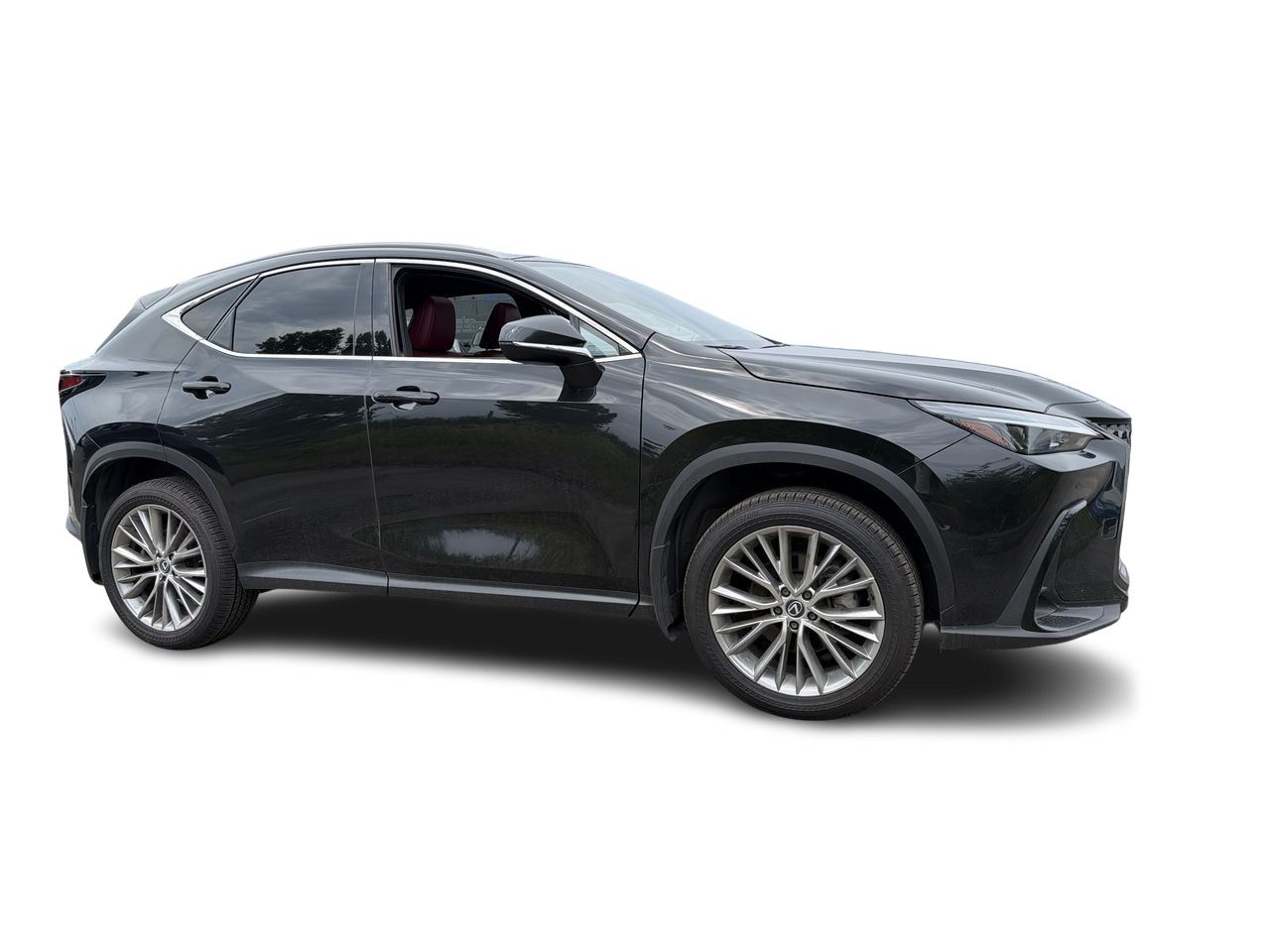 2024 Lexus NX