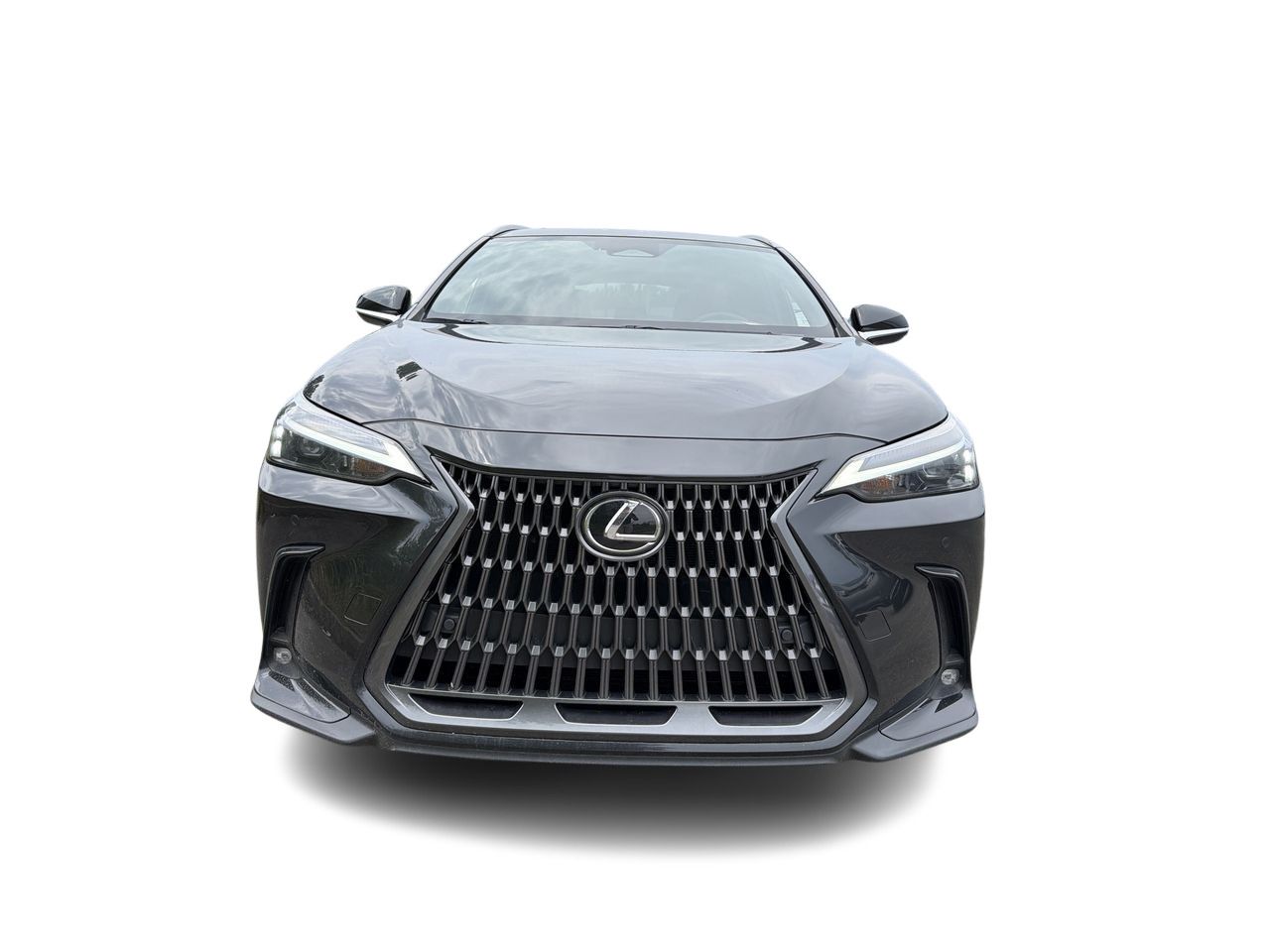2024 Lexus NX