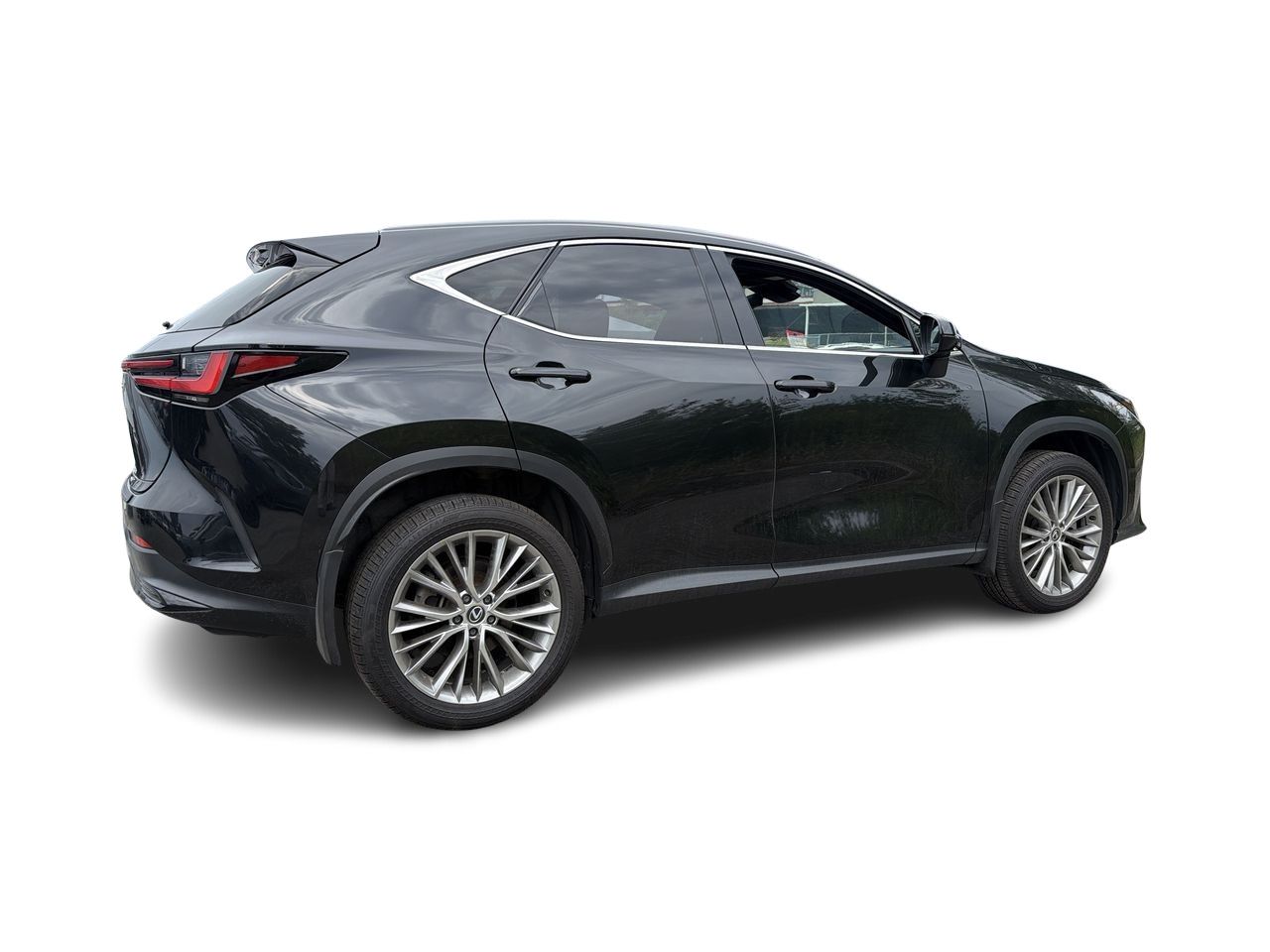 2024 Lexus NX