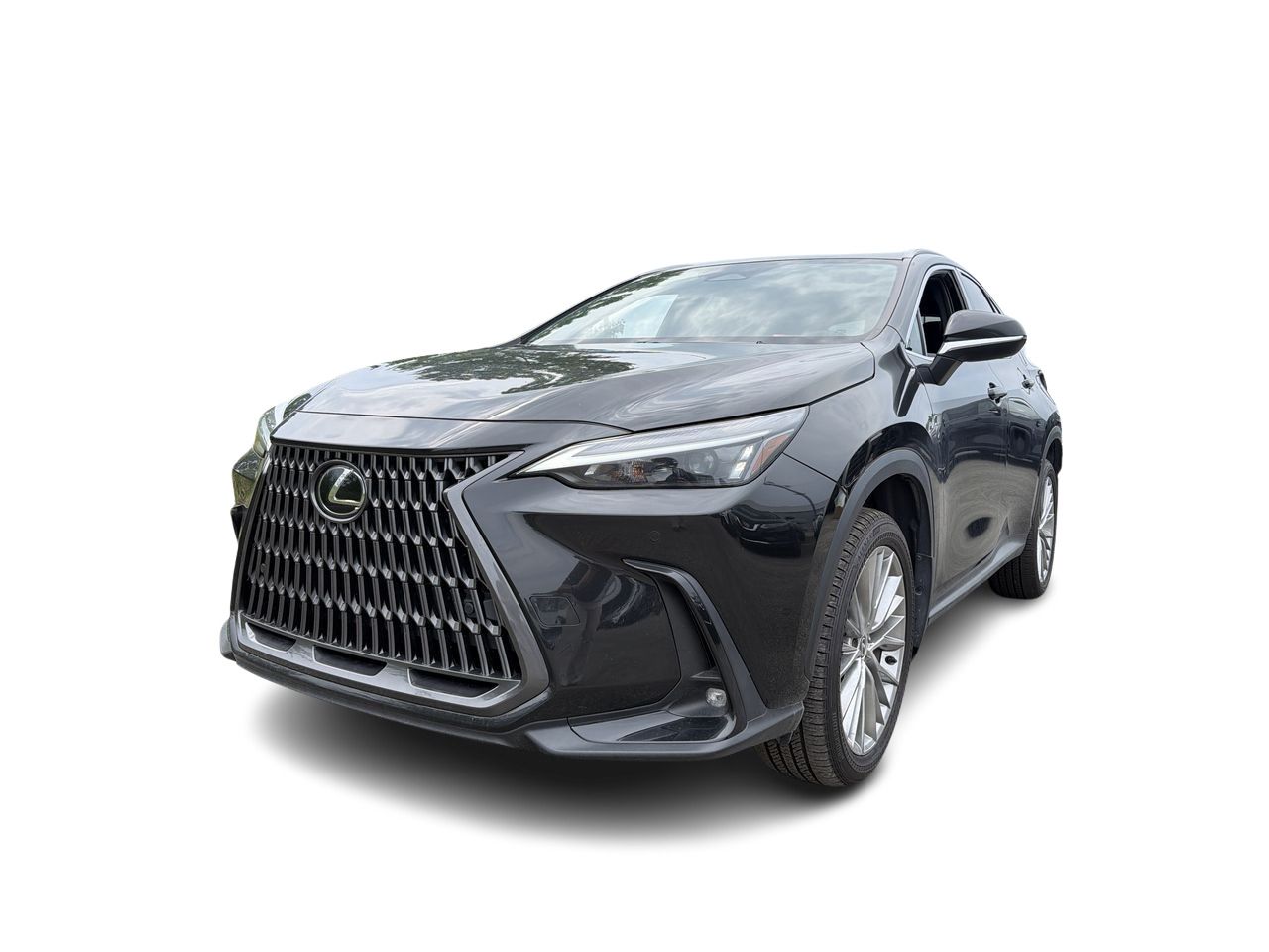 2024 Lexus NX