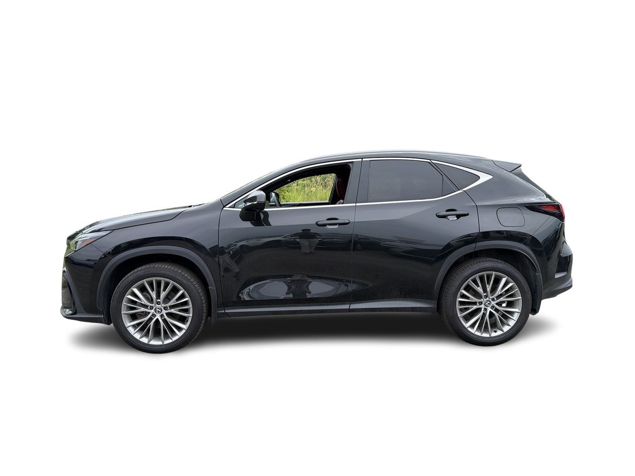 2024 Lexus NX