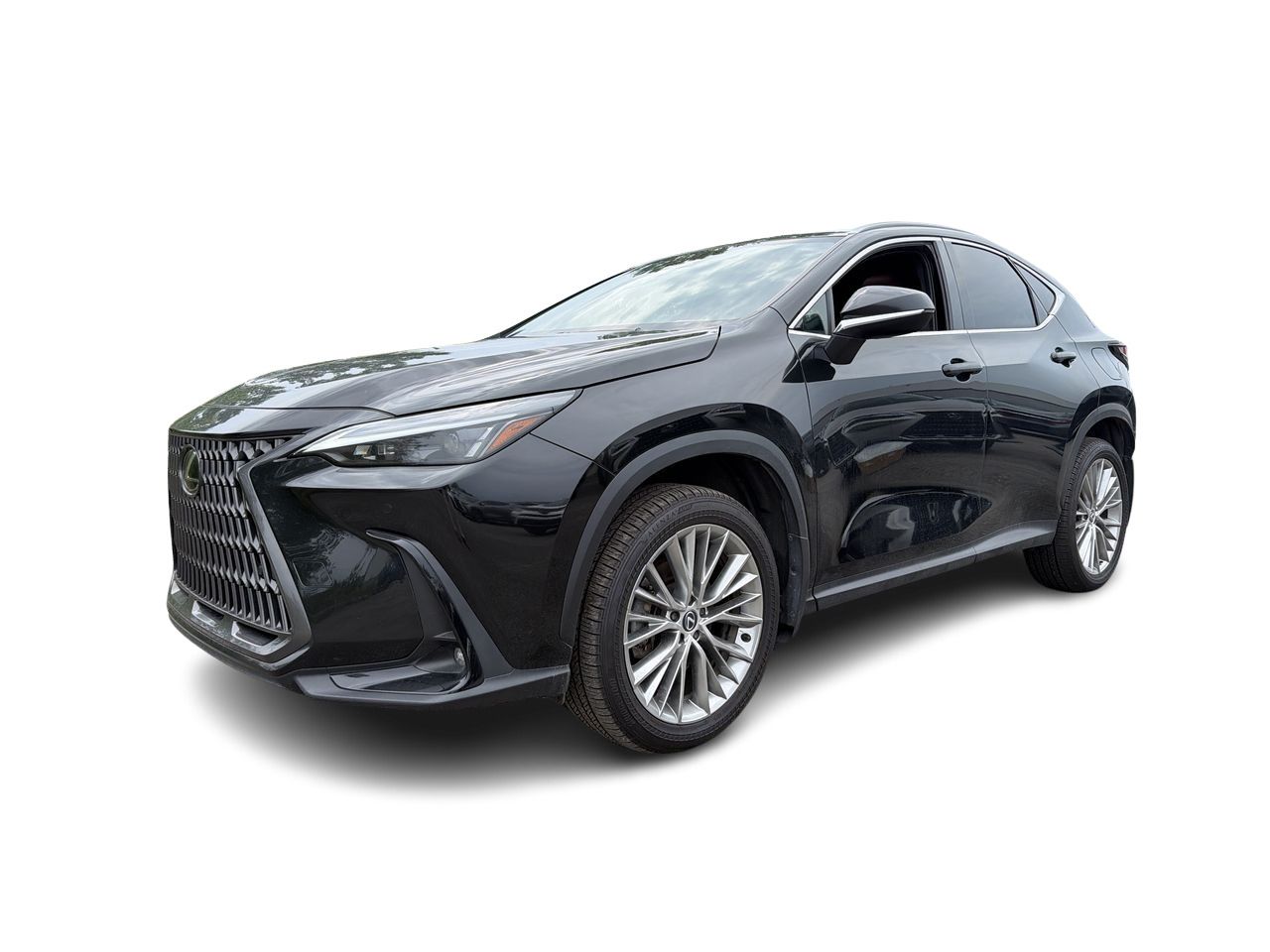2024 Lexus NX