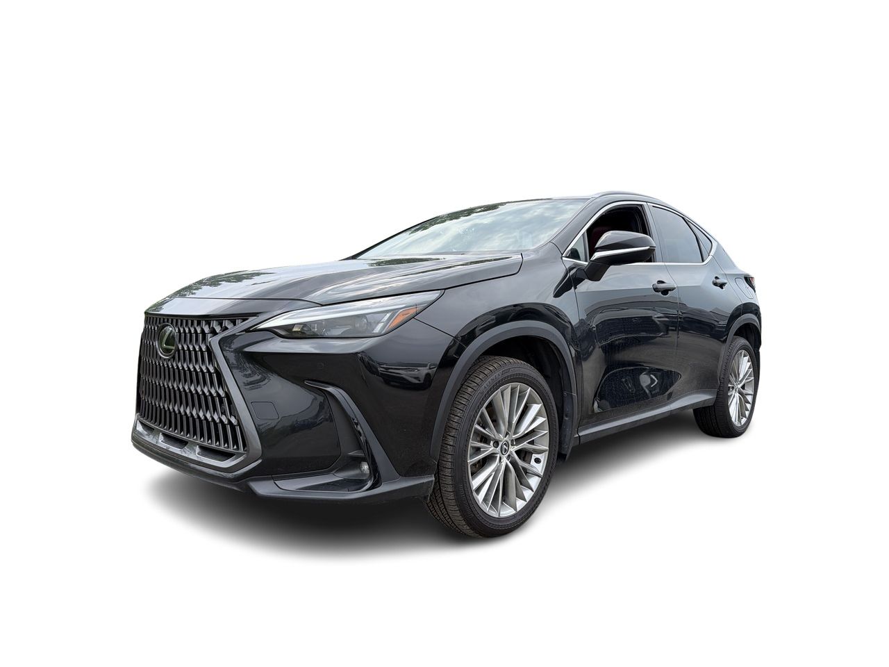 2024 Lexus NX