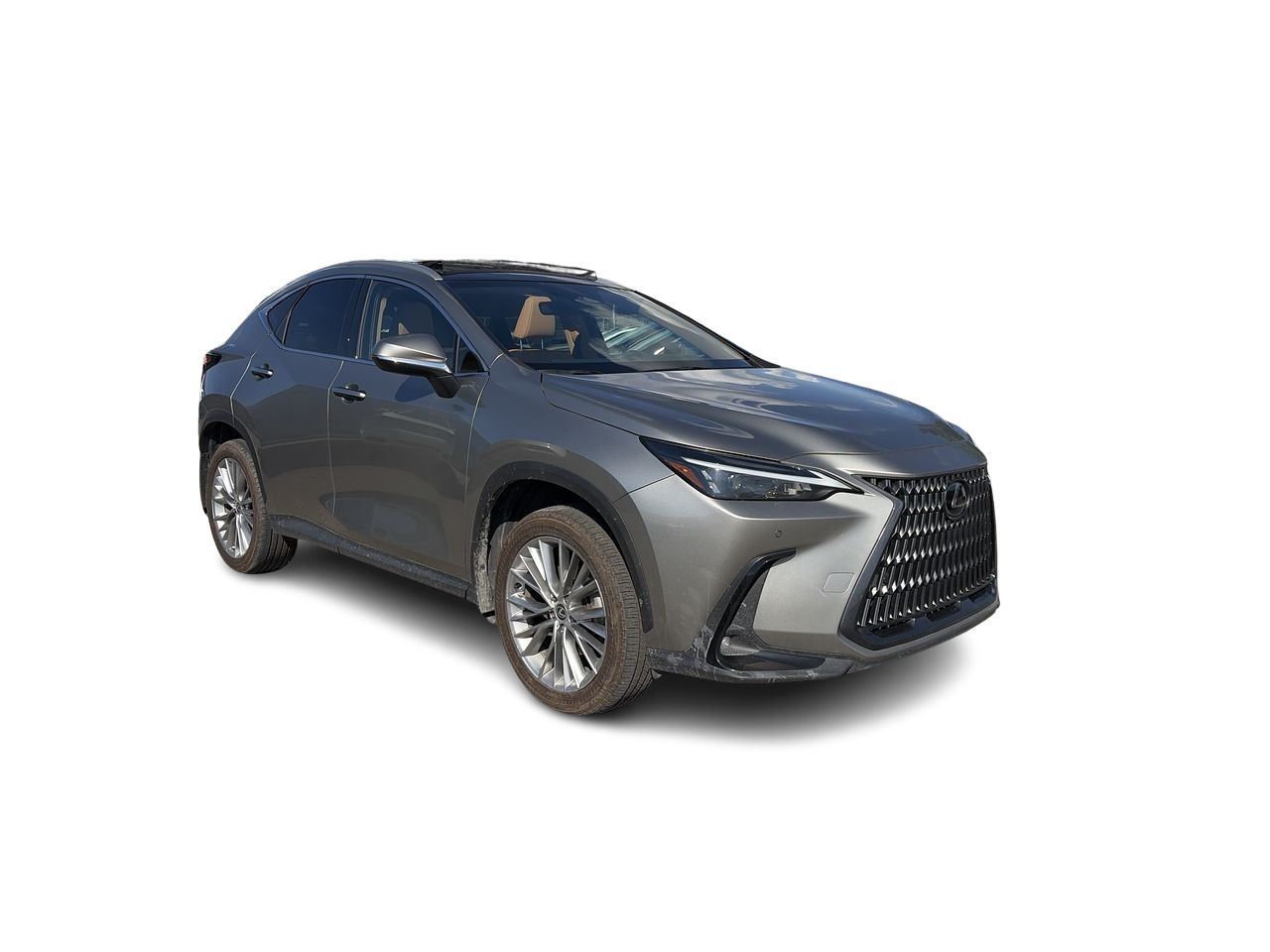 Lexus NX  2024 à Laval, Québec