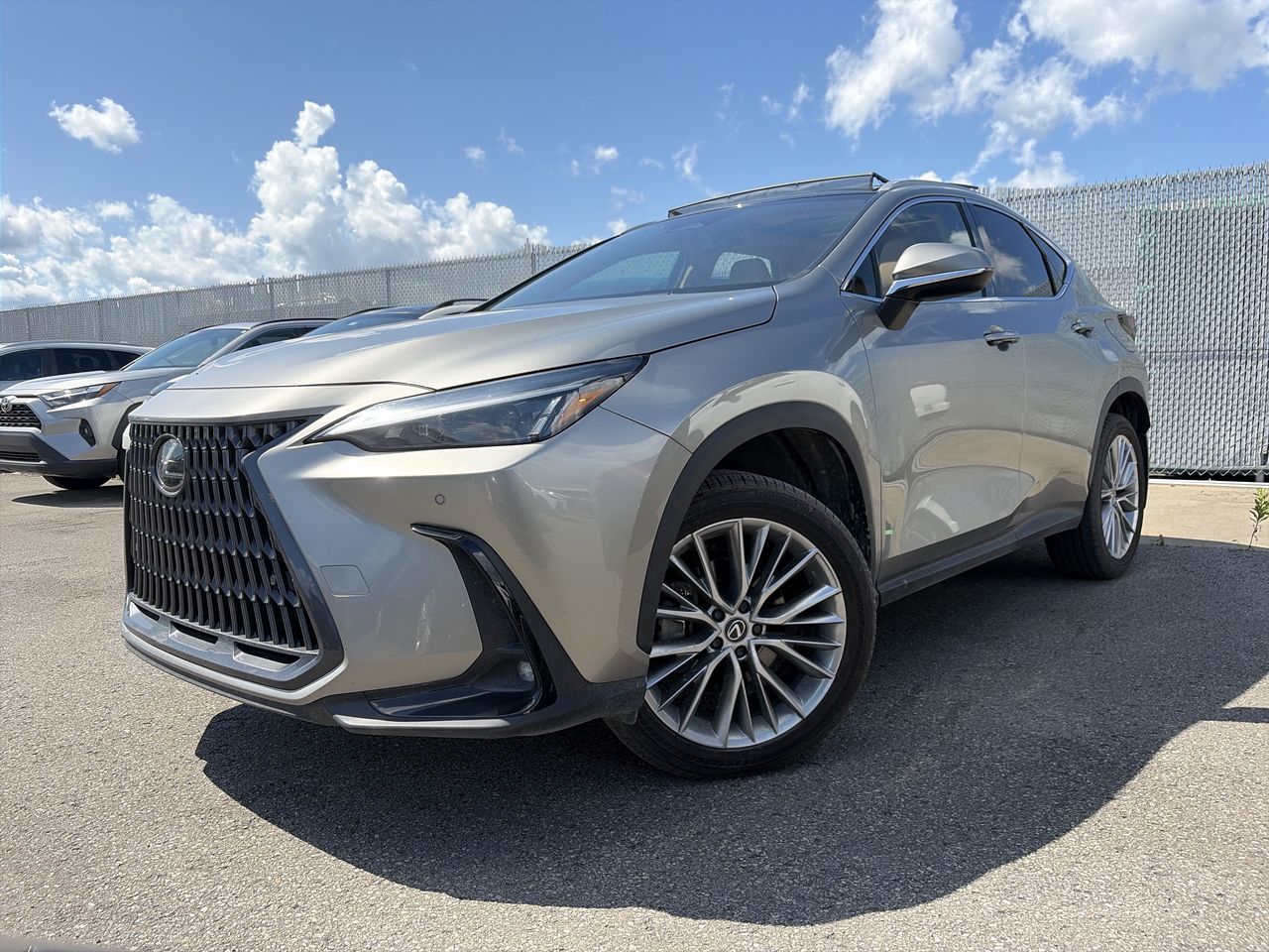 Lexus NX  2024