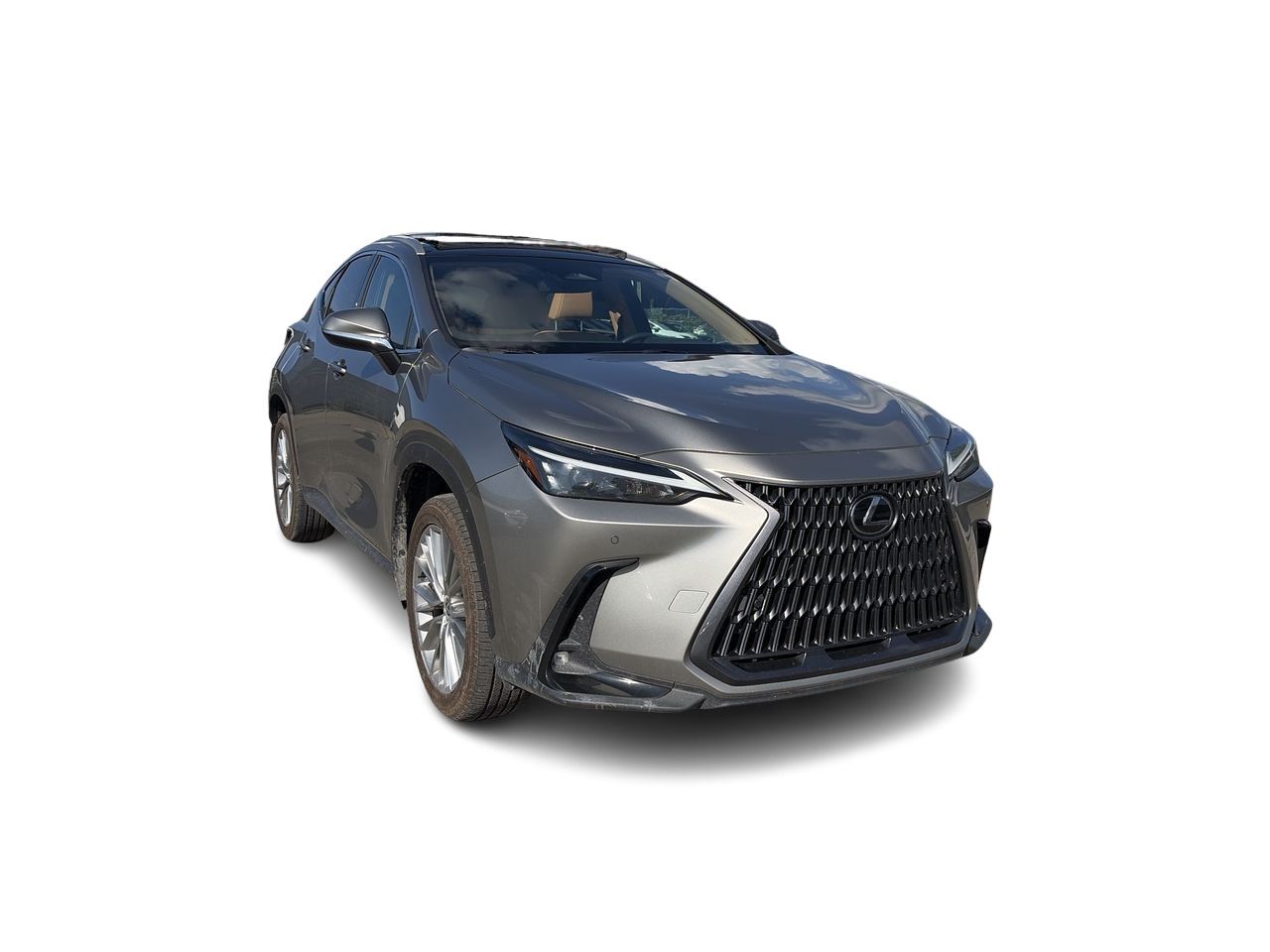 Lexus NX  2024 à Laval, Québec