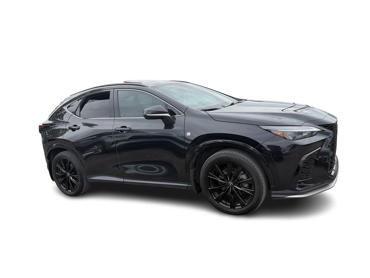 2024 Lexus NX