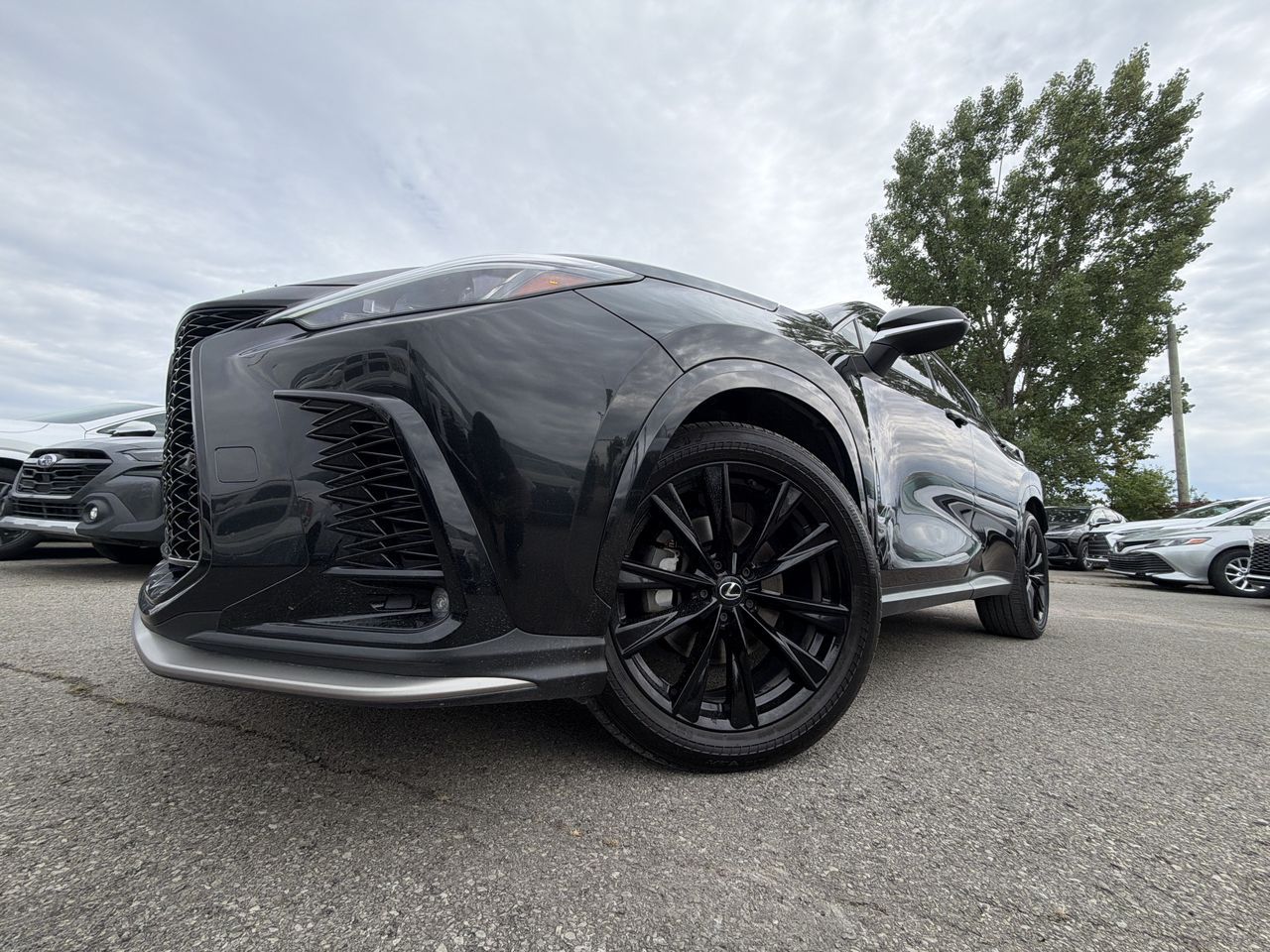 2024 Lexus NX