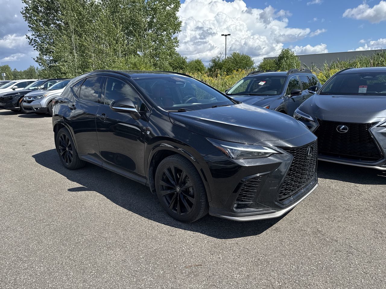 2024 Lexus NX