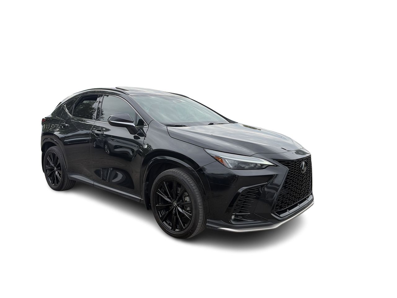 2024 Lexus NX