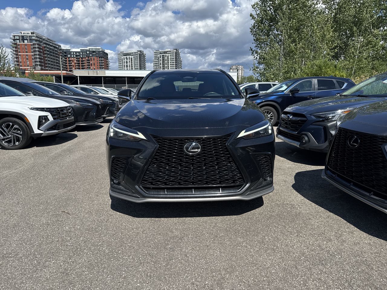 2024 Lexus NX