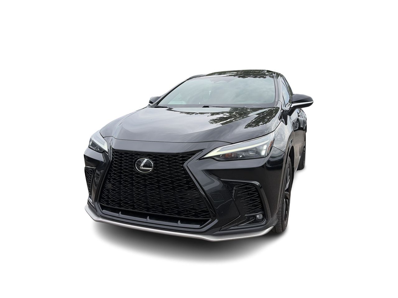 2024 Lexus NX