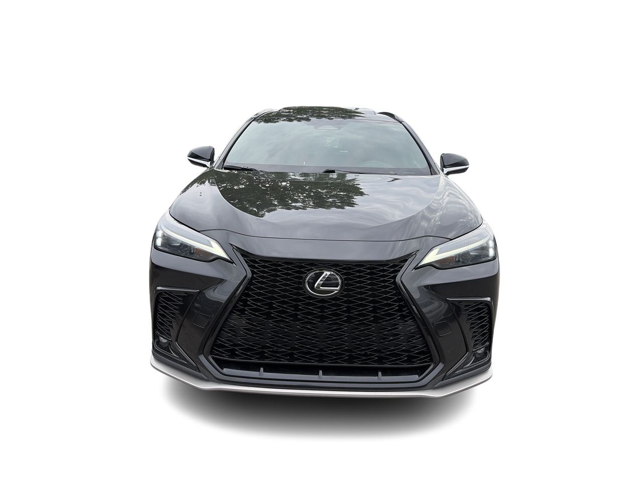 2024 Lexus NX