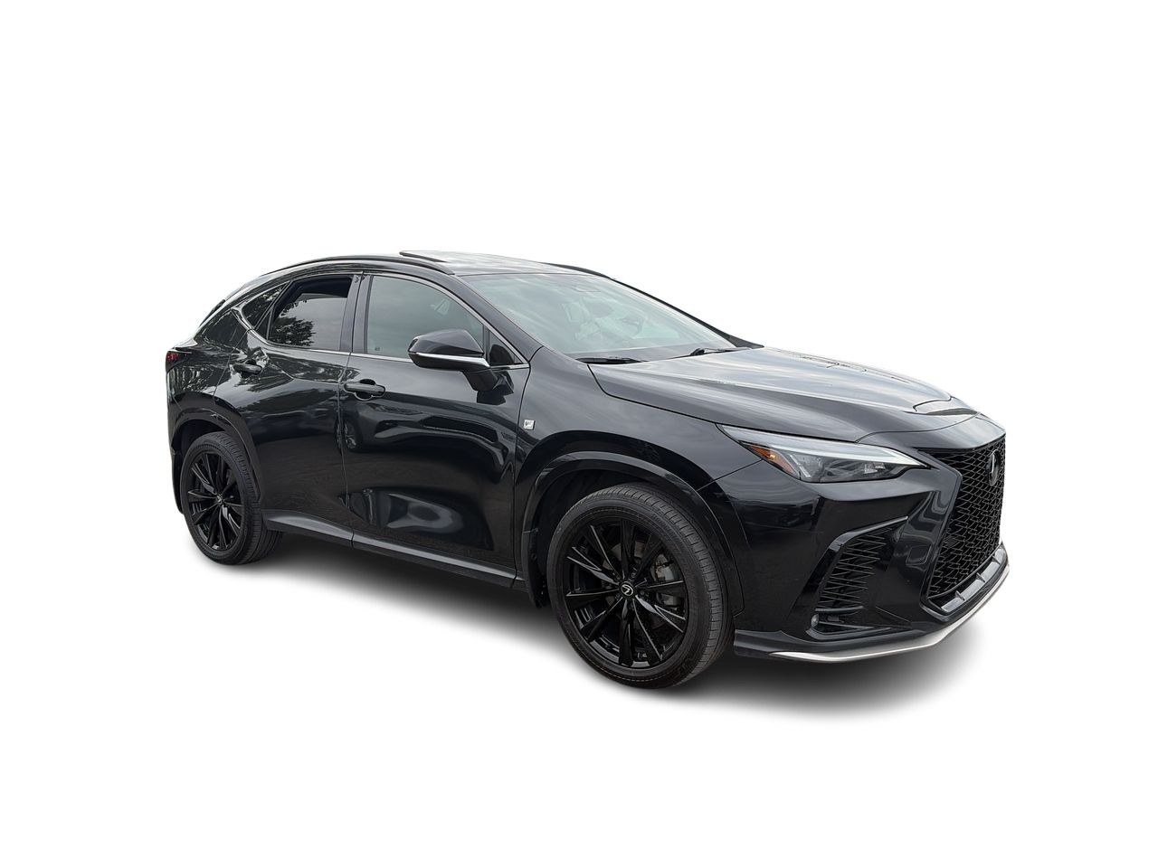 2024 Lexus NX