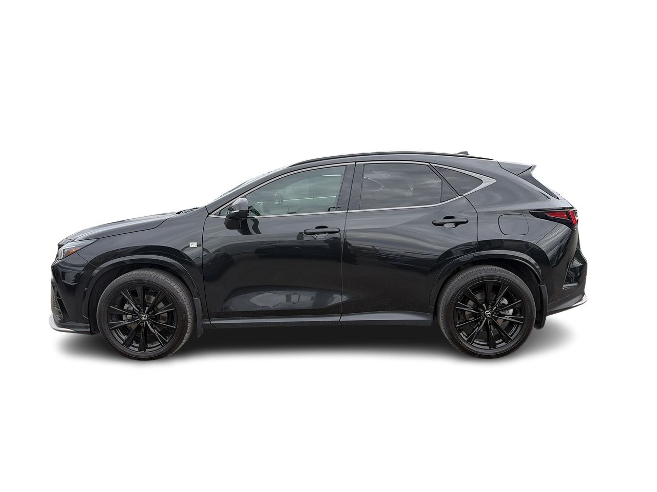 2024 Lexus NX