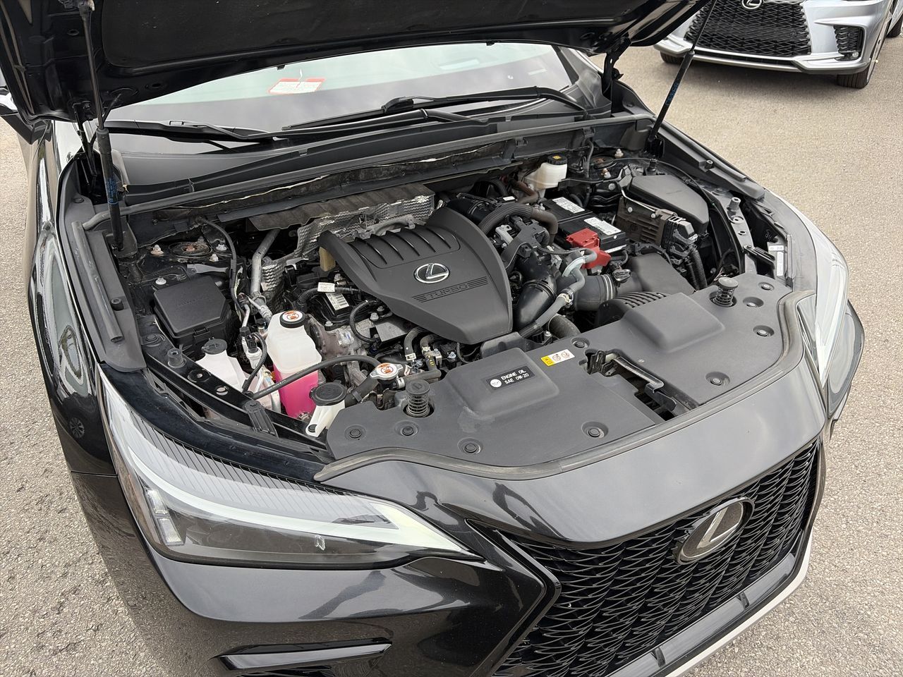 2024 Lexus NX