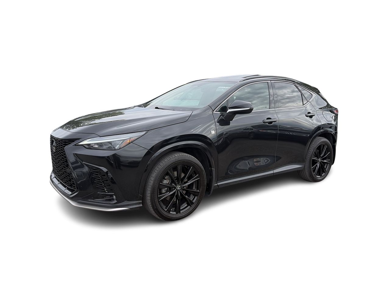 2024 Lexus NX