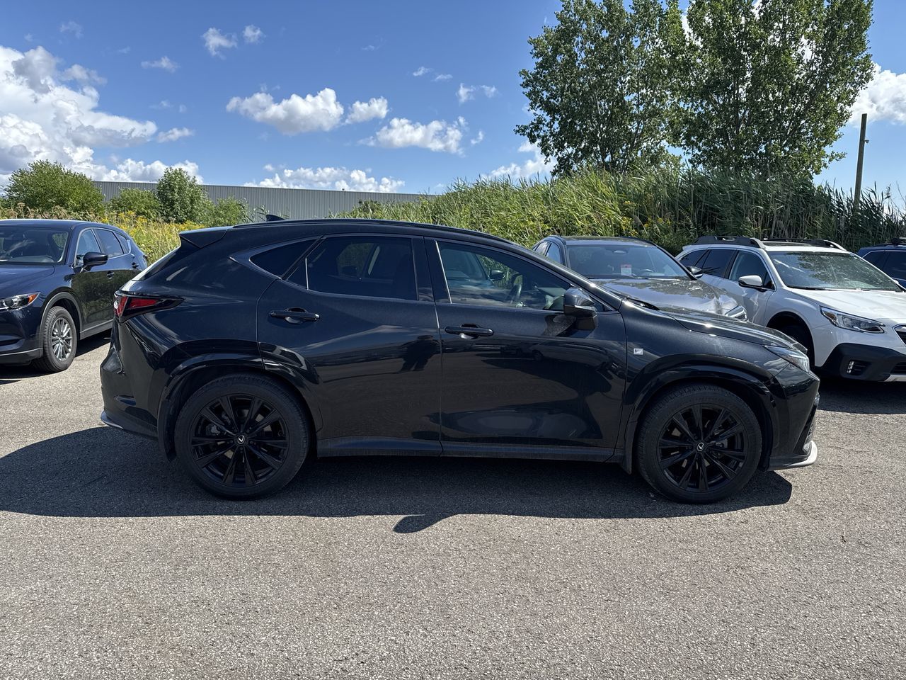2024 Lexus NX