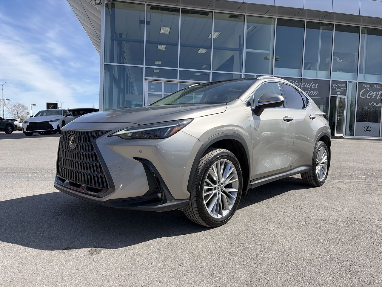 Lexus NX  2023