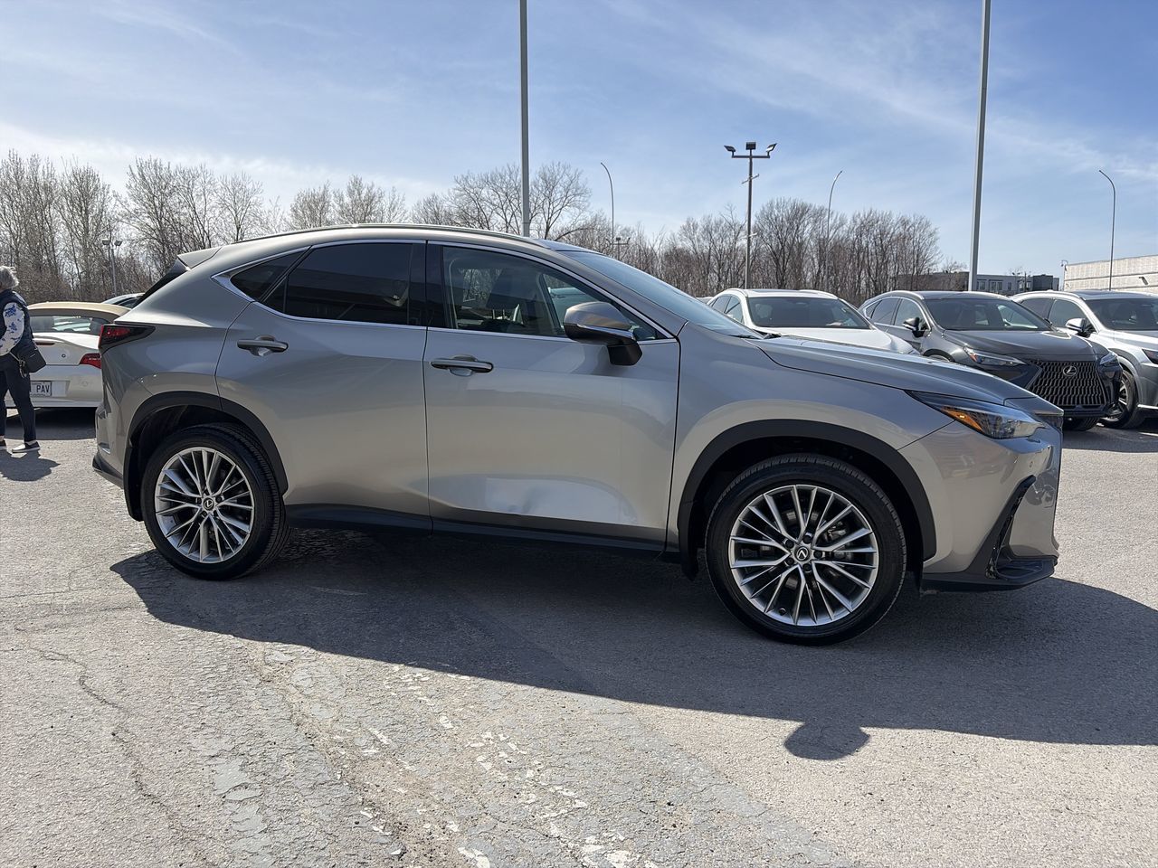 Lexus NX  2023