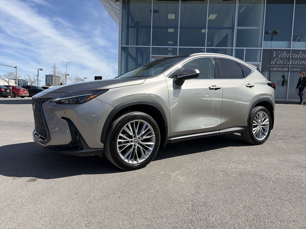 Lexus NX  2023